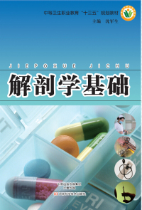 Imagen de portada: 解剖学基础 1st edition 9787534978074