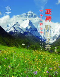 Titelbild: 西藏野生花卉 1st edition 9787534981630