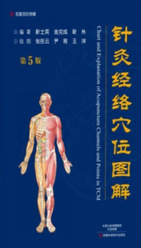 Cover image: 针灸经络穴位图解 1st edition 9787534988219