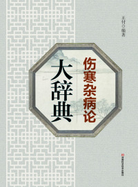 Titelbild: 《伤寒杂病论》大辞典 1st edition 9787534990762