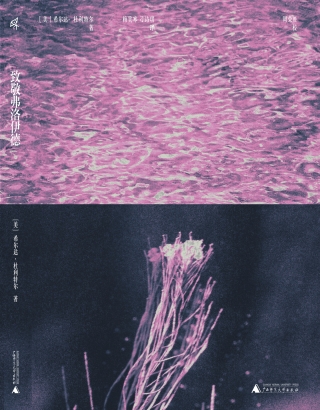 Cover image: 新民说 致敬弗洛伊德 1st edition 9787559857149