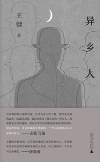 Immagine di copertina: 纯粹向度 异乡人 1st edition 9787559857682