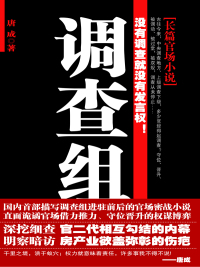 Cover image: 调查组 1st edition 9787802561489