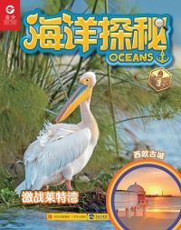 Cover image: 海洋探秘·激战莱特湾 1st edition 9787555213147