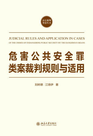 Immagine di copertina: 危害公共安全罪类案裁判规则与适用 1st edition 9787301324424