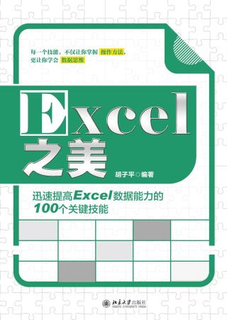 Immagine di copertina: Excel之美：迅速提高Excel数据能力的100个关键技能 1st edition 9787301320945