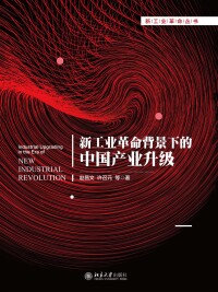 صورة الغلاف: 新工业革命背景下的中国产业升级 1st edition 9787301307069