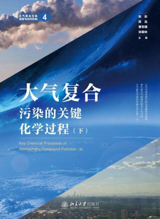 Immagine di copertina: 大气复合污染的关键化学过程（下） 1st edition 9787301322956