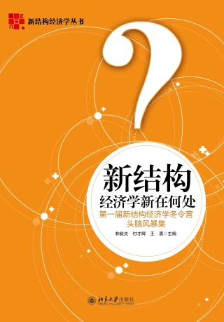 Titelbild: 新结构经济学新在何处：第一届新结构经济学冬令营头脑风暴集 1st edition 9787301269572