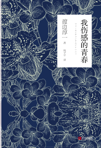 Cover image: 我伤感的青春 1st edition 9787555267409