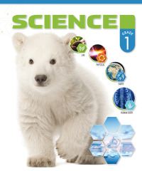 Imagen de portada: Science: Grade 1, Teacher Textbook 3rd edition 9781583317334